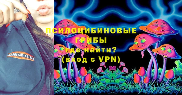 ешки Аркадак