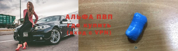 сатива Арсеньев