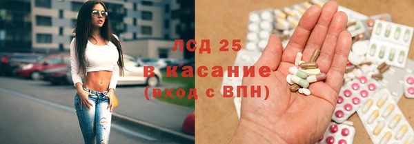 ешки Аркадак