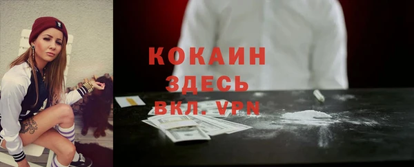 сатива Арсеньев