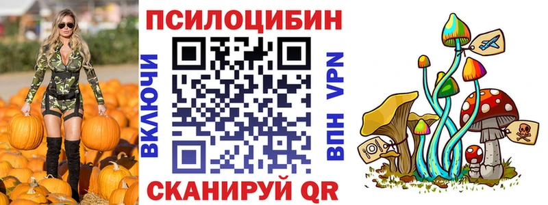 Галлюциногенные грибы Psilocybine cubensis Полярный